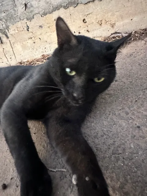 I think I really fucked up :(