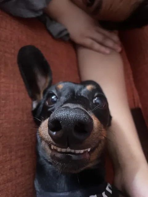 I don’t know who needs to see a happy face today, but here’s mine