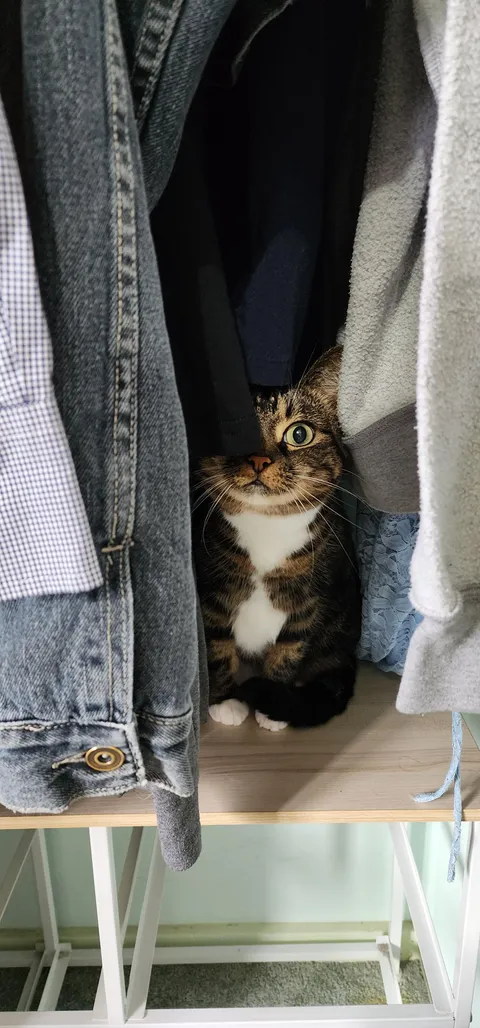 Going through my closet and I got jumpscared