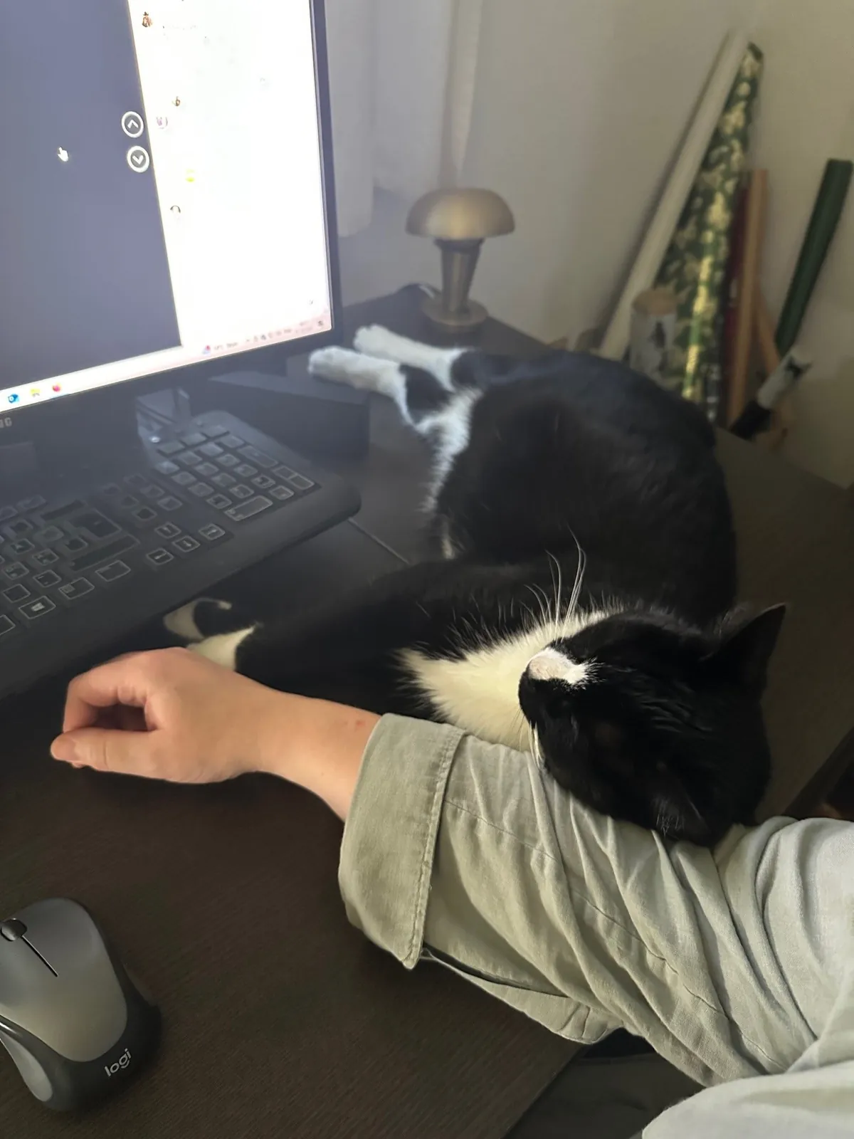 She brought in a live mouse and LOST IT!