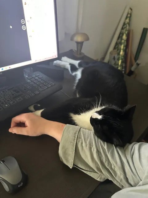 She brought in a live mouse and LOST IT!