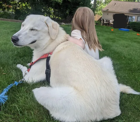 My dog's blissed out face hanging out with my niece