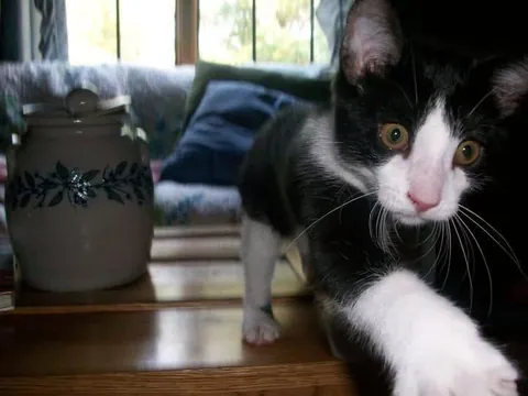 she was my best friend for 16 years…