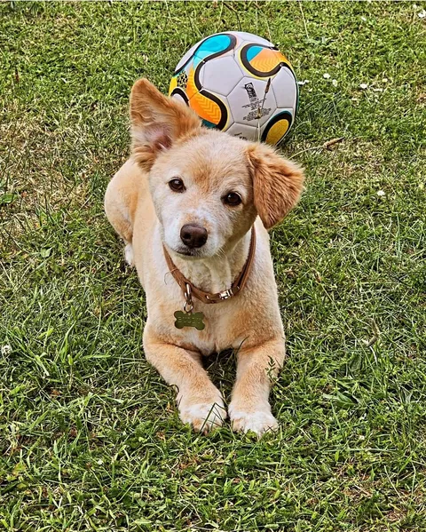 My 9 year old boy Buddy