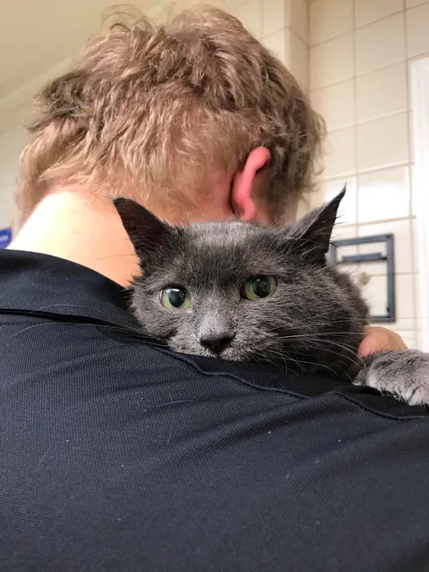 Saying goodbye to my first born feline son tomorrow after 10 years together