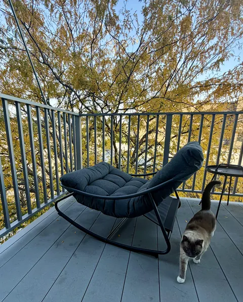 When the leaves change on my balcony tree canopy