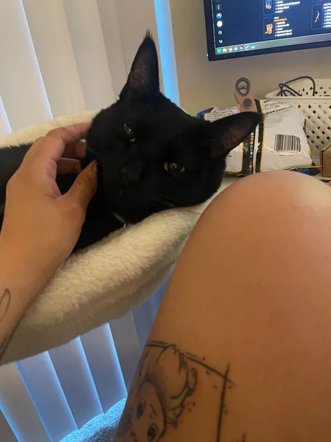 my gamer buddy