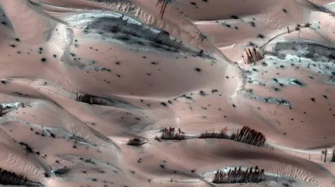 An optical illusion on Mars that appears to resemble ‘trees’ on the surface.