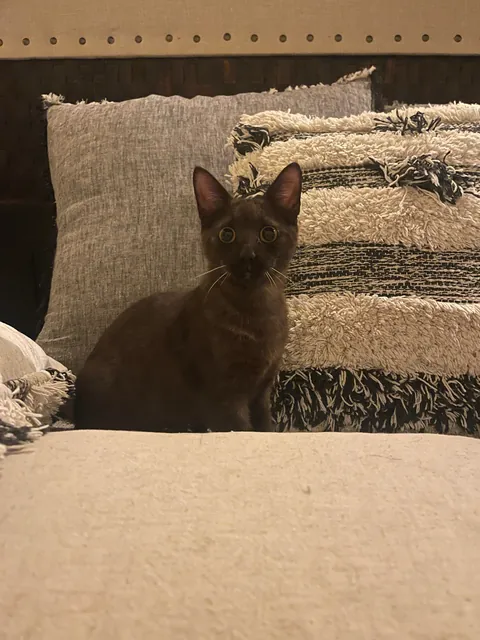 How it started vs how it’s going