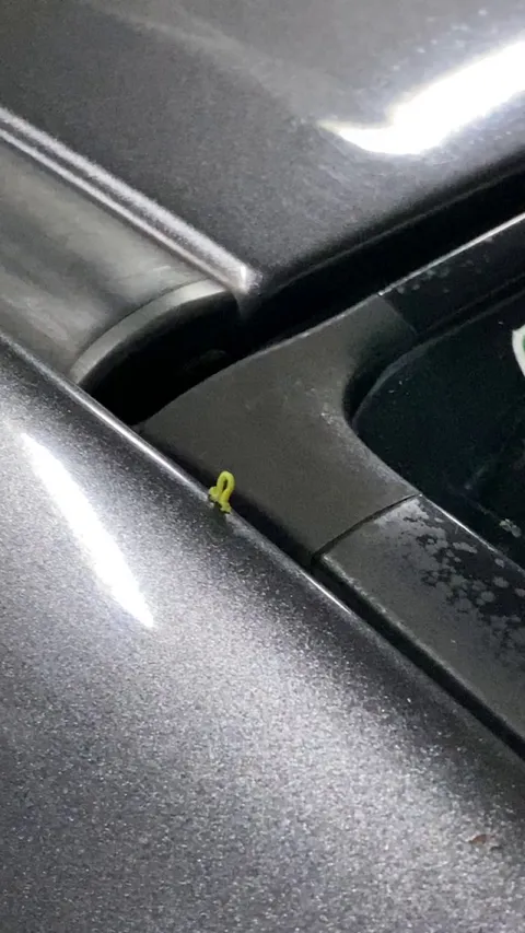 Saw this on my friend’s car today. What is it?