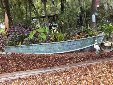 Do you guys like my boat garden!?