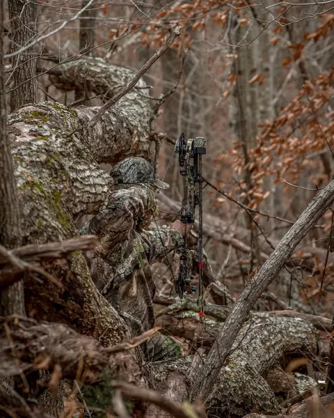 The effectiveness of camouflage 