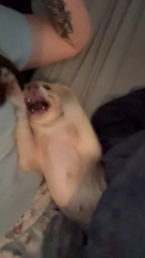 What a crisp 25$ gets you at the shelter