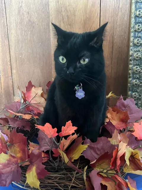 It’s always Halloween as long as you’ve got a void!