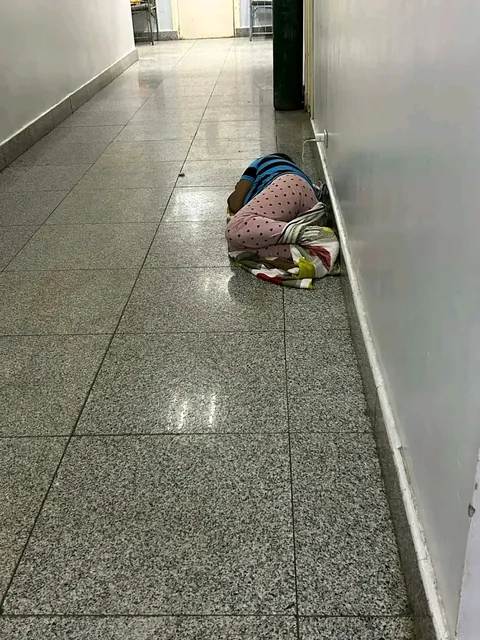 this is where our taxes go?