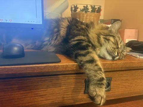 Caught my coworker napping