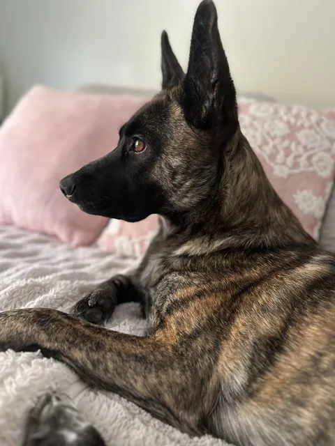 I would do anything for this girl