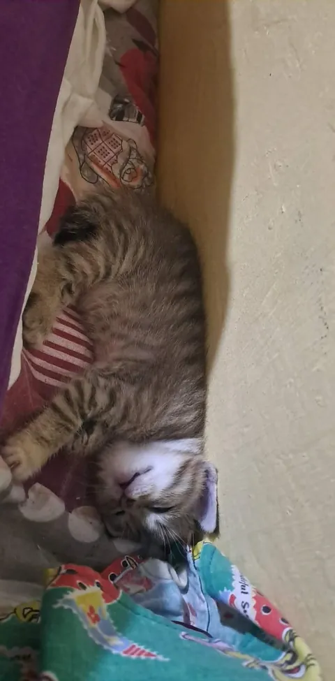 Milk drunk cuties 😂