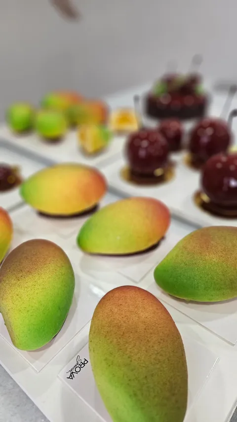 [Pro/chef] I took a mango and cherry entremet class