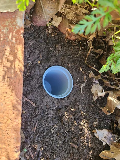 Solving My Pill Bug Problem Through Aggressive Hospitality