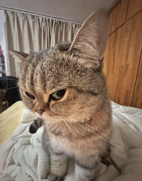 Don’t talk to me 😾