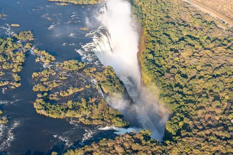 From gorillas in Rwanda to wild dogs in Botswana: 3.5 weeks across eastern and southern Africa