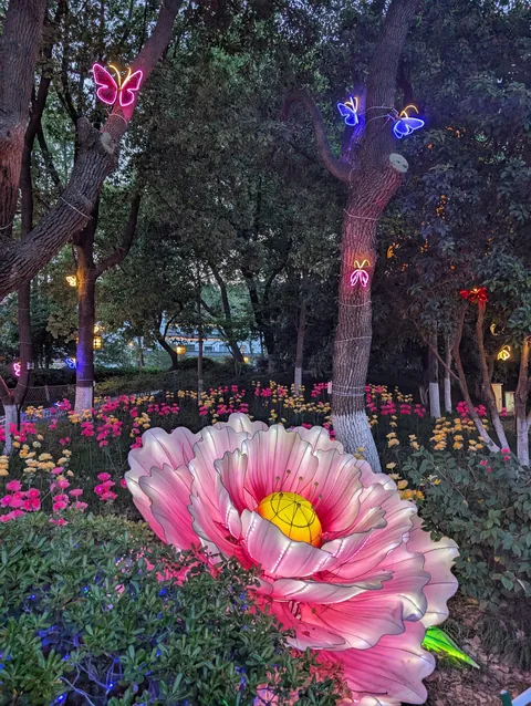 I randomly found Nanjing’s Qinhuai Lantern Festival, and it was breathtakingly beautiful