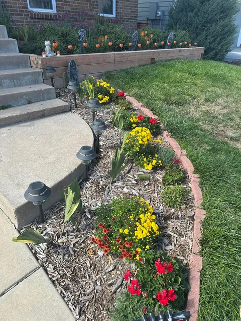 Last year I had 4 yellow mums. This year I have 3.5 yellow mums and .5 of a red mum 😂