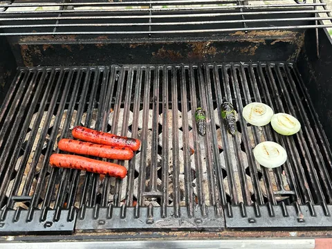 [homemade] onion dogs