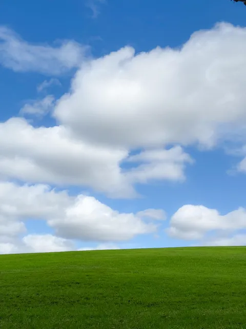 ITAP of my local park