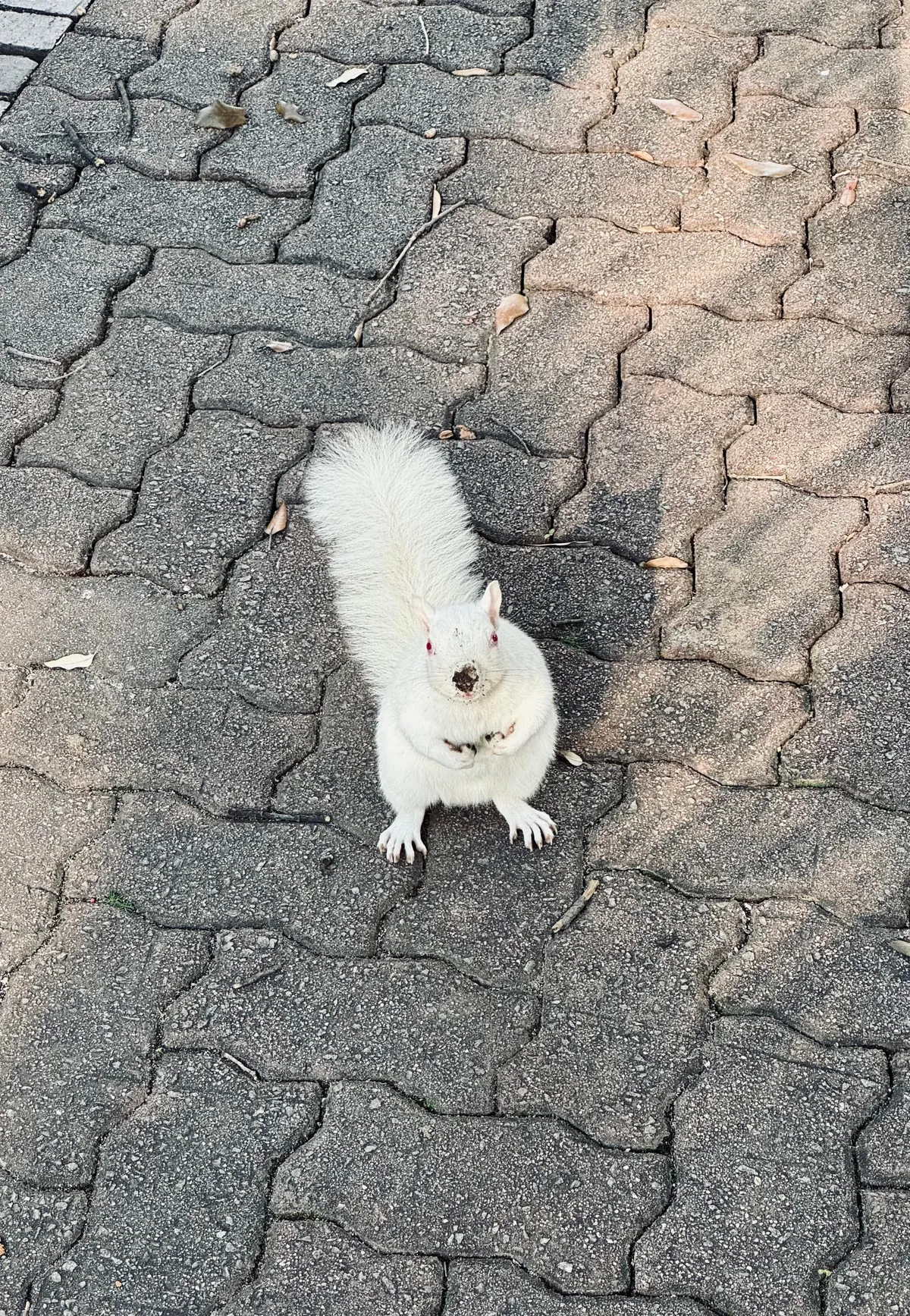 Cape Town is my favorite new city!