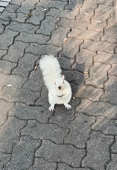 Cape Town is my favorite new city!