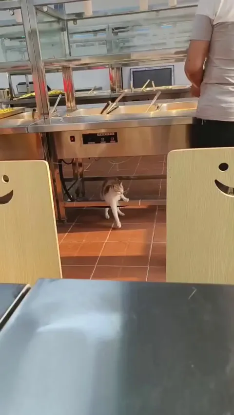 Not sure what she is thinking but it must be very deep