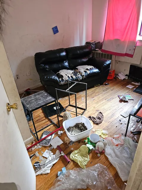 The owner had depression and I cleaned her home for free