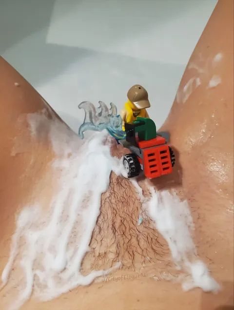 Seasonal maintenance services (f)