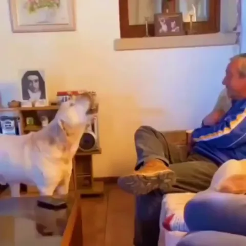 “Move over from my spot”