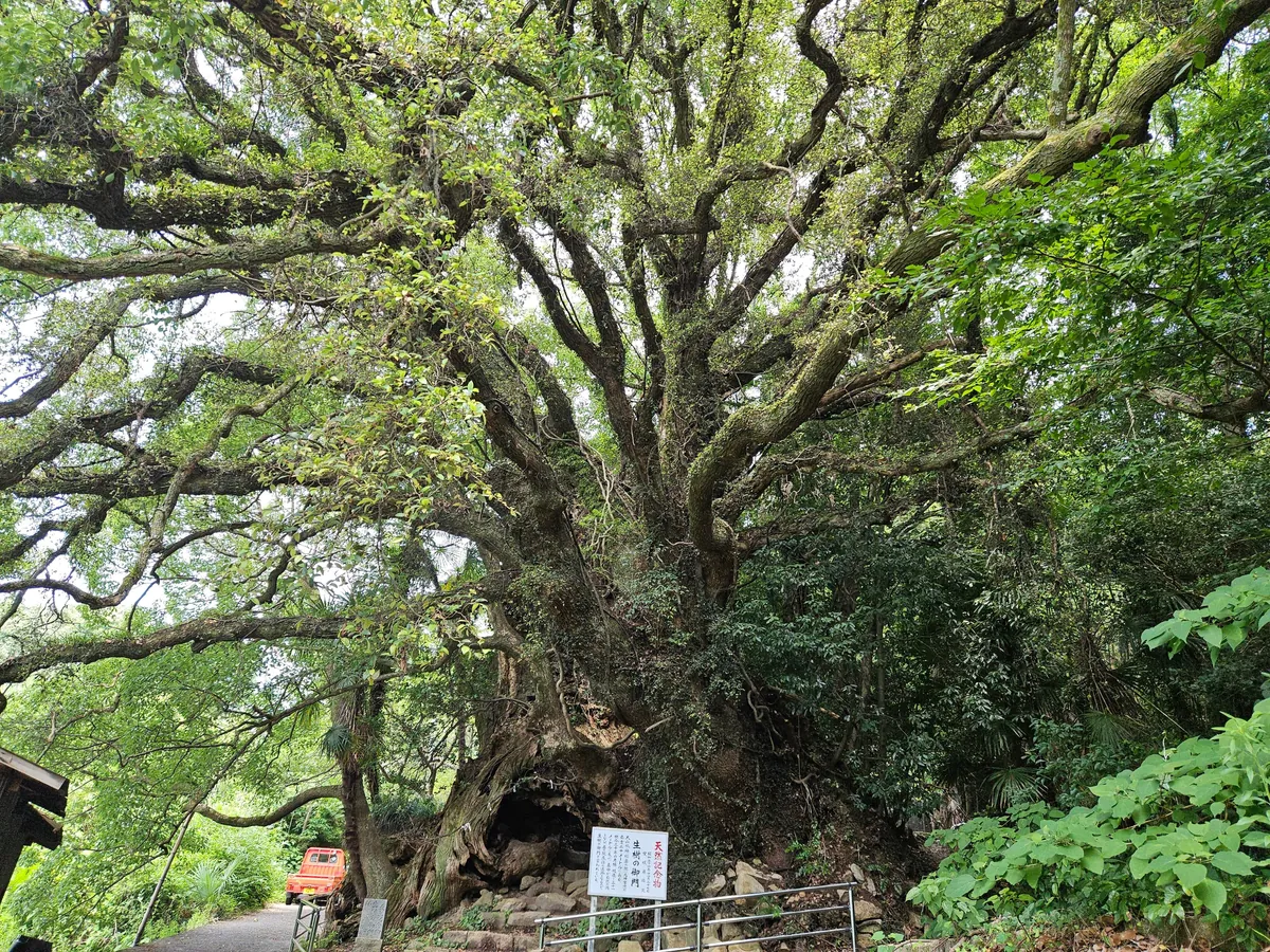 3 weeks Japan off the beaten track by folding bycicle and public transport