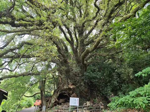 3 weeks Japan off the beaten track by folding bycicle and public transport