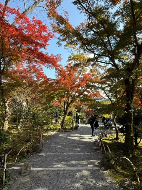 Kyoto, Japan Trip in November 2025.