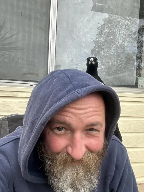 Did someone say ‘swooping season’?