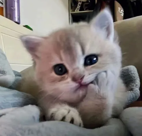 She’s pure sweetness