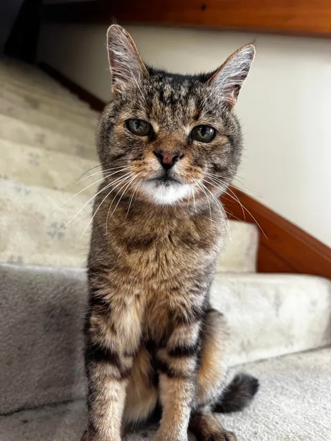 Leo turned 20 today! 🎉🎉🎉