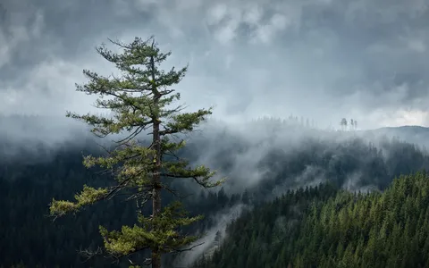 Mission, BC, Canada (OC)(1900x1190)