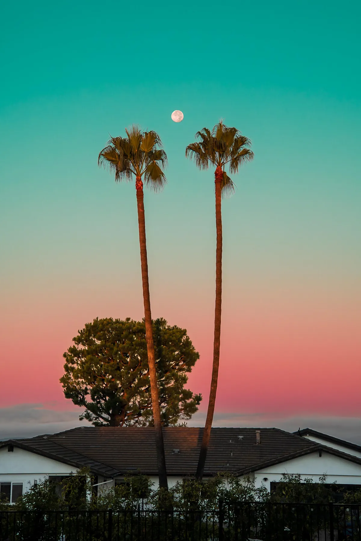 ITAP of a California dawn