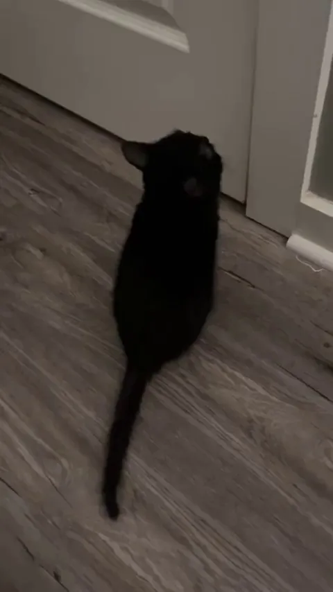 Locked away from his chrurs