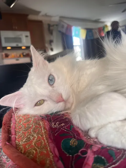 Does anyone else find her downright adorable?