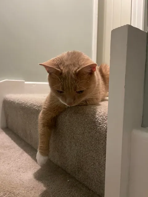 Goodbye little man
