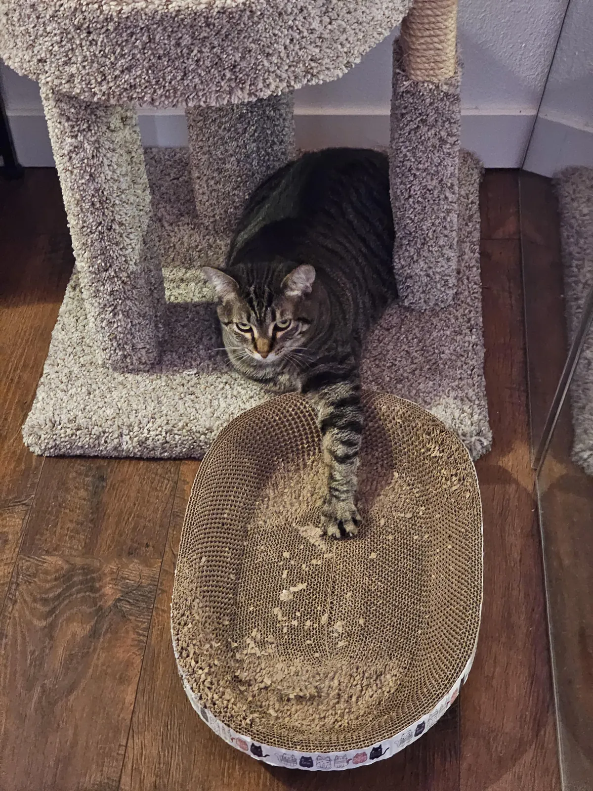 It's all yours, girl; nobody is gonna take it from you