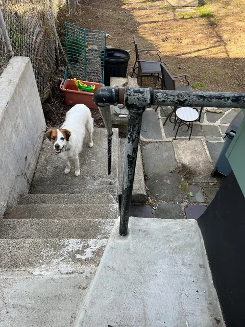 Help make my death trap stairs toddler proof