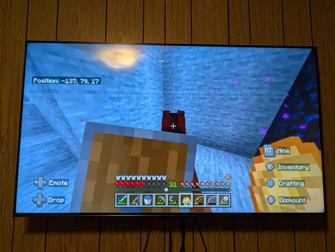 Bro how tf my horse only got 1 heart 😭